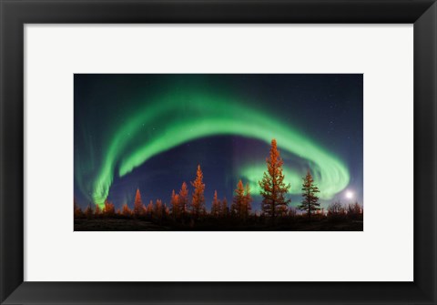 Framed Northern Lights Print