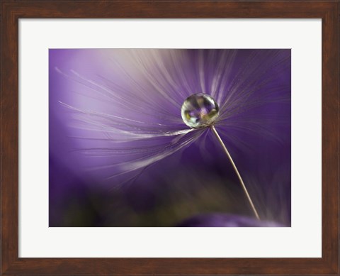 Framed In Shades Of Purple Print