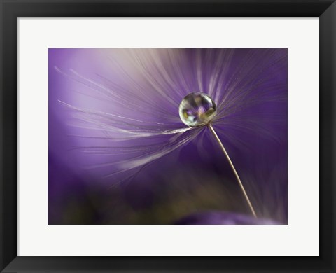 Framed In Shades Of Purple Print