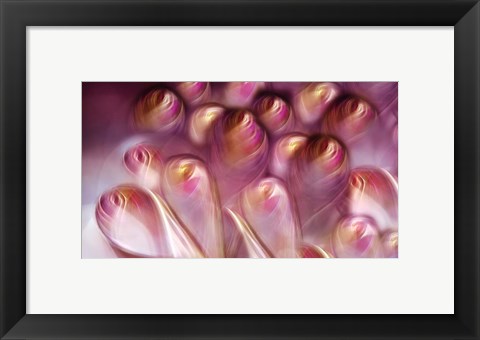 Framed Rosebuds Print