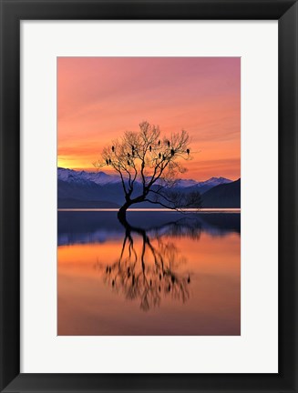 Framed Lone Tree Is Not Lonely Print