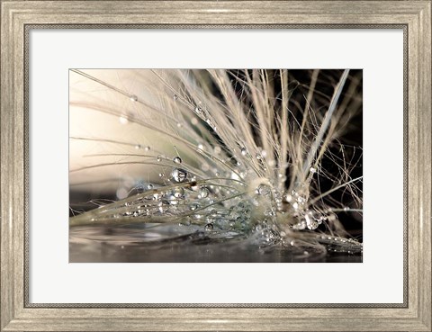 Framed Pearls Print