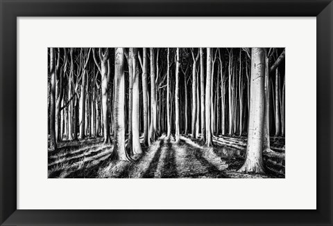 Framed Ghost Forest Print