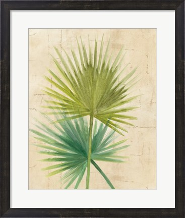 Framed Fan Palm Print