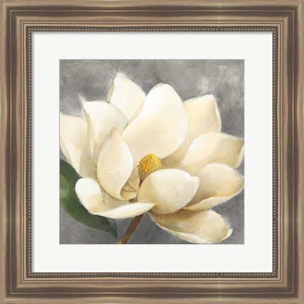 Framed Magnolia Blossom on Gray Print