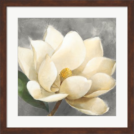 Framed Magnolia Blossom on Gray Print