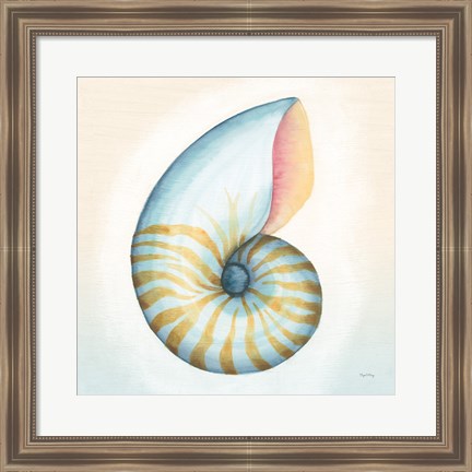 Framed Boardwalk Nautilus Print