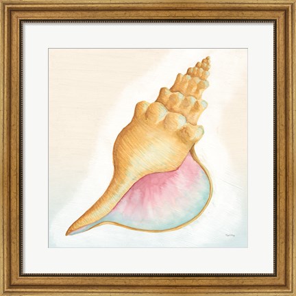 Framed Boardwalk Conch Print