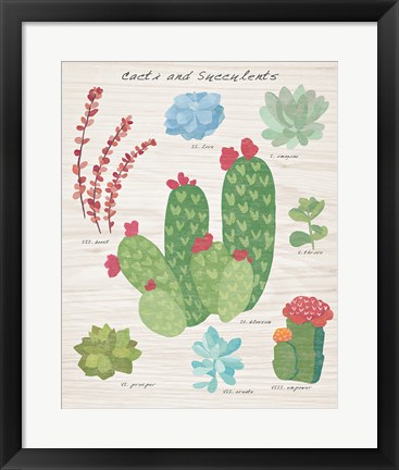 Framed Succulent and Cacti Chart IV on Wood Print