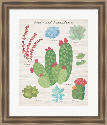 Framed Succulent and Cacti Chart IV on Wood Print