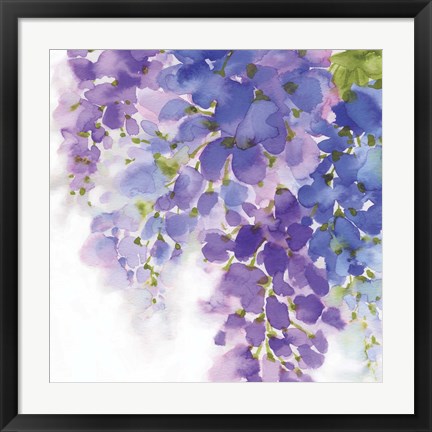 Framed Wisteria I Print