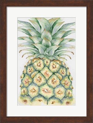 Framed Fruit IV Print