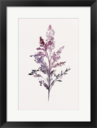 Framed Botanical II Print