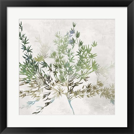 Framed Olive Branch Print