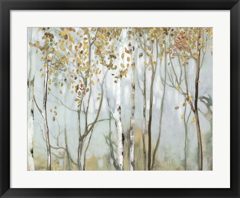 Framed Birch in the Fog II Print