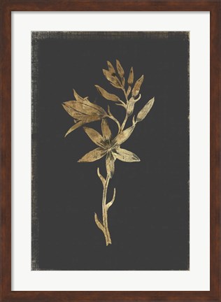 Framed Botanical Gold on Black I Print