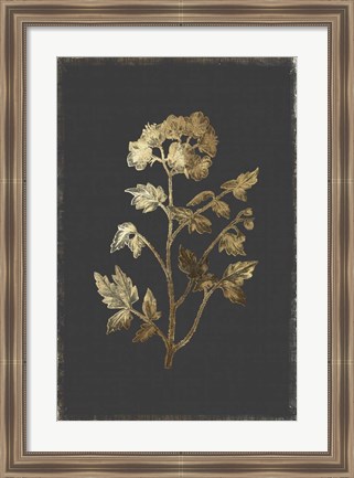 Framed Botanical Gold on Black II Print