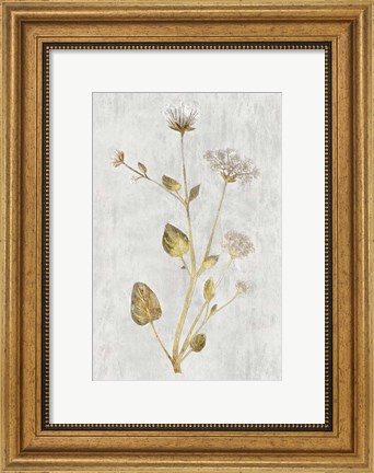 Framed Botanical Gold on White I Print