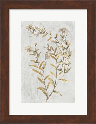 Framed Botanical Gold on White II Print