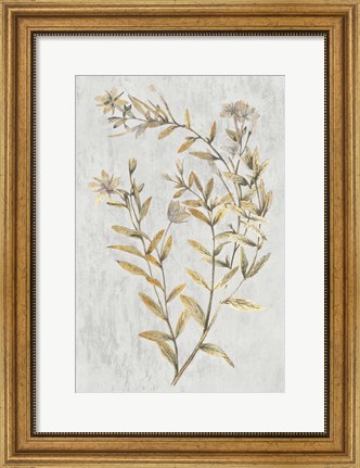 Framed Botanical Gold on White II Print