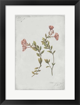 Framed Botanical I Print