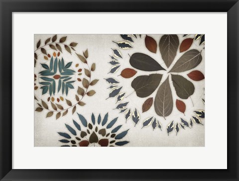 Framed Leaf Pattern V Print