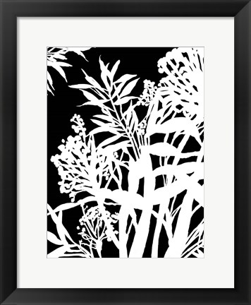 Framed Monochrome Foliage IV Print