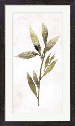 Framed Gold Botanical IV Print