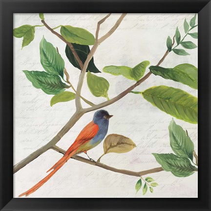 Framed Singing Bird II Print