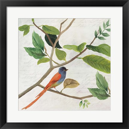 Framed Singing Bird II Print