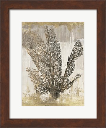 Framed Coral Splendor I Print