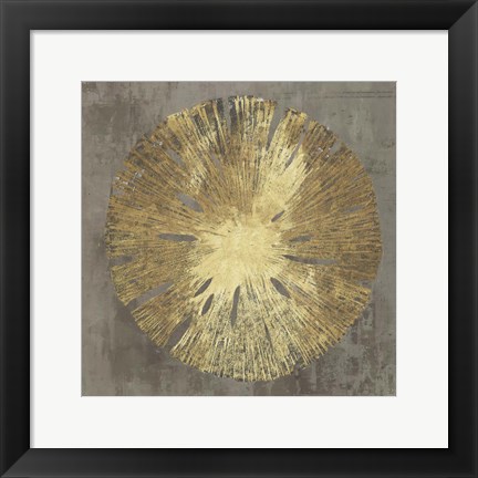 Framed Sand Dollar IA Print