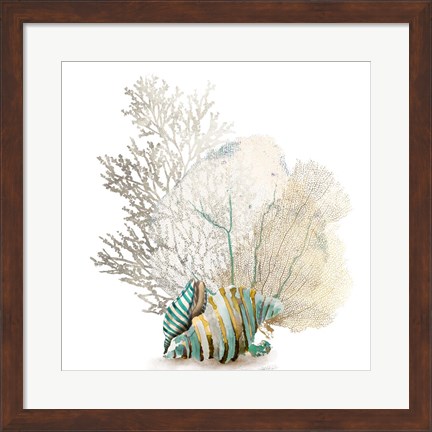 Framed Coral II Print