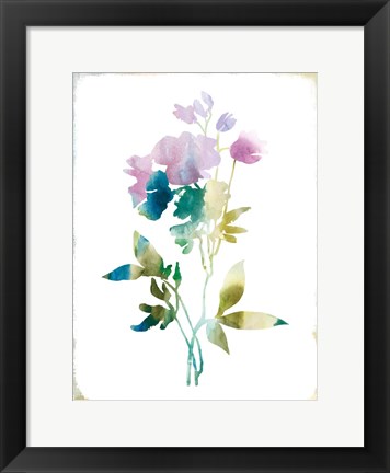 Framed Summer Botanical II Print