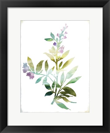 Framed Summer Botanical III Print