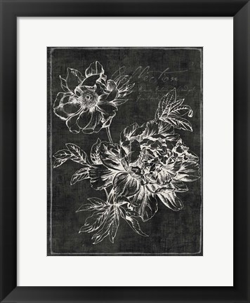 Framed Black Botanical I Print