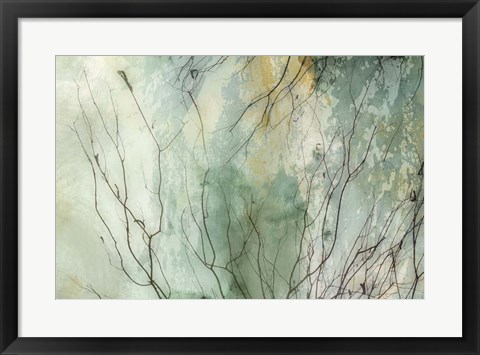 Framed Branches II Print