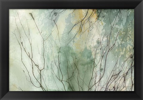 Framed Branches II Print