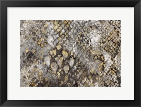 Framed Snake Skin Print