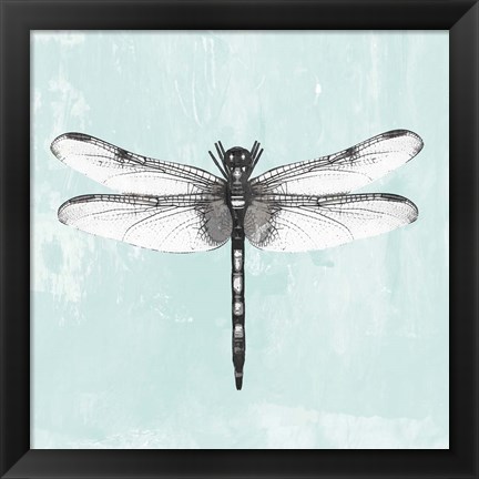 Framed Dragonfly I Print