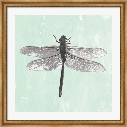 Framed Dragonfly II Print