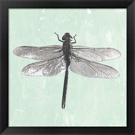 Framed Dragonfly II Print