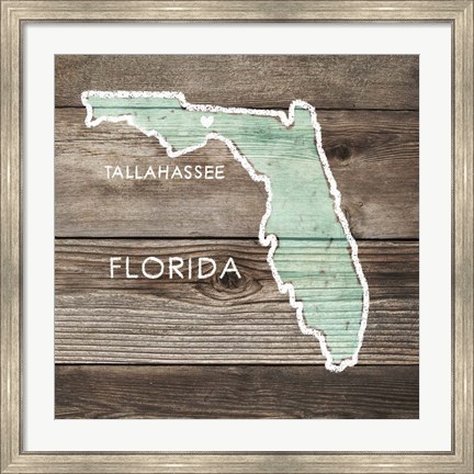 Framed Florida Rustic Map Print