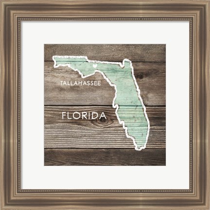 Framed Florida Rustic Map Print