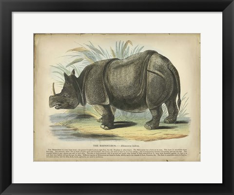 Framed Rhino Print