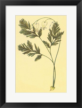 Framed Squirrel Corn Print