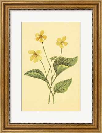 Framed Yellow Violet Print