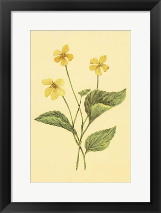 Framed Yellow Violet Print