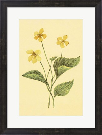 Framed Yellow Violet Print