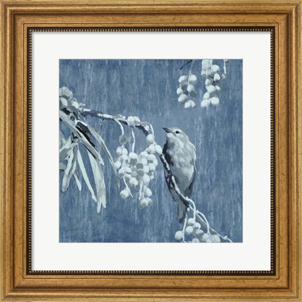 Framed Denim Songbird II Print